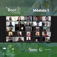 BootCamp Enactus-Pantaleon 2021
